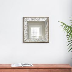 a mirror hanging on the wall next to a wooden dresser with a plant in it