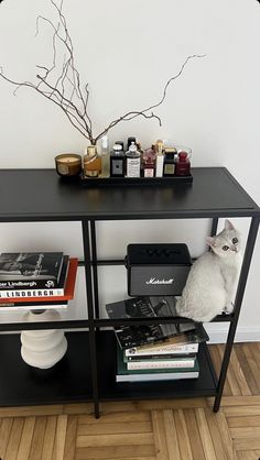 a black shelf with books, candles and a white cat sitting on top of it