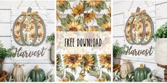 three pumpkins and sunflowers with the words free printable fall wall art