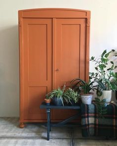 an orange armoire sitting next to potted plants on top of a black table