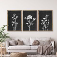 two black and white flowers are hanging on the wall above a couch in a living room