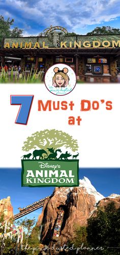 the seven must do's at animal kingdom in disney world, including an animal kingdom attraction