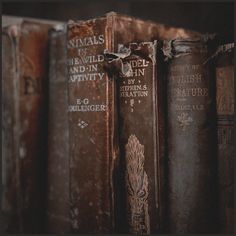 old books are lined up on a shelf