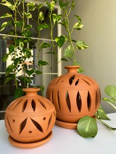 two vases sitting next to each other on a table near a potted plant