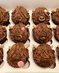 twelve cupcakes with chocolate frosting and brown icing decorated to look like animals