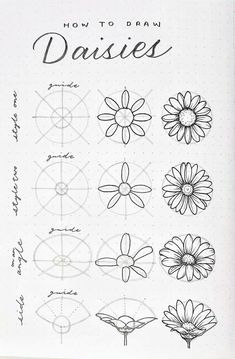 an open notebook with drawings on it and the words how to draw daisies written in cursive writing