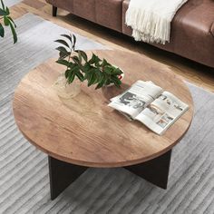 a living room with a couch, coffee table and potted plant on the floor