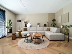 a living room filled with lots of furniture next to a wooden floor covered in potted plants