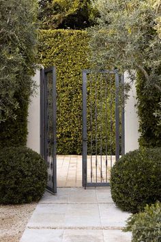 an iron gate is surrounded by bushes and trees