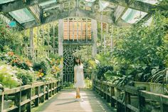 a woman standing in the middle of a garden with lots of plants on either side of her