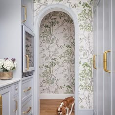 a brown and white dog sitting on the floor in front of a wallpapered bathroom