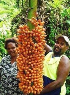 two people standing next to each other in front of a tree with fruit on it