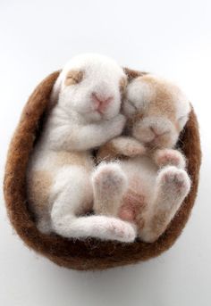 two stuffed animals are sitting in a small bowl on the table, one is white and the other is brown