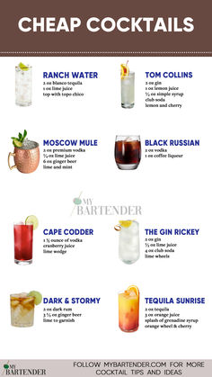 Cheap Cocktails Easy Cheap Cocktails, Simple Mixed Drinks Alcohol Recipes, Cheap Drinks Alcohol Recipes, Cheap Cocktail Recipes, Cheap Alcoholic Drinks, Basic Bar Drinks, Easiest Cocktails, Speakeasy Cocktails, Cheap Cocktails