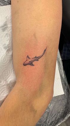 a small shark tattoo on the right arm and leg, it looks like an ocean creature