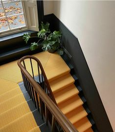 a stair case next to a window with a potted plant on the top and bottom