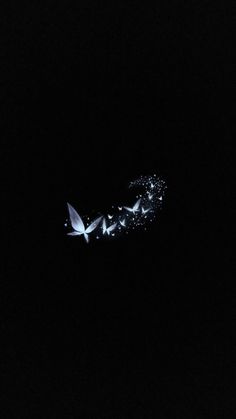 a group of birds flying through the night sky