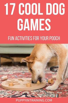 17 Cool Dog Games: Fun Activities For Your Pooch - Yellow dog playing with a puzzle toy Inside Games, Clever Dog, Dog Playing, Dog Training Treats, Durable Dog Toys, Therapy Dog, House Training Dogs