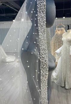 wedding dresses and veils on display in a store