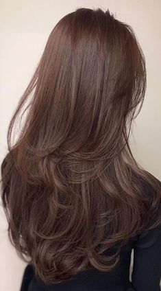 Brown Hair Colors And Styles, Brown Layered Haircut, Layered Hair With Color, Layers And Color Hair, Pretty Hair Layers, Hair Layers Ideas, Curtain Band Layered Hair, Brown Hair With Lots Of Layers, Brown Hair Colors Layers