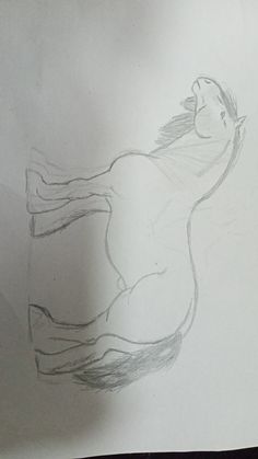 a drawing of a horse is shown in the middle of a piece of white paper