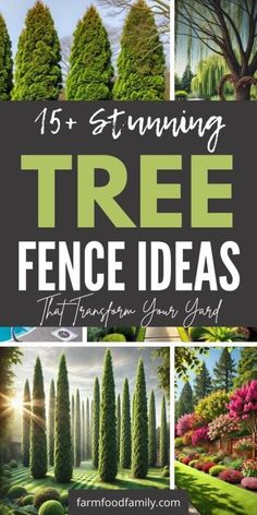 trees and bushes with the words 15 stunning tree fence ideas that transform your yard into an art