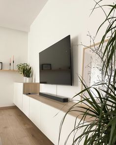 a flat screen tv mounted to the side of a wall next to a potted plant