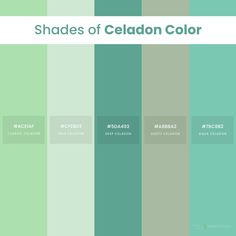 shades of celadon color with the words shades of celadon on them