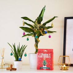 a potted plant sitting on top of a table next to a box of christmas ornaments