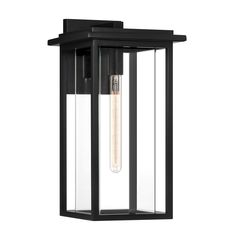 an outdoor light fixture with a clear glass and black finish on the outside of it