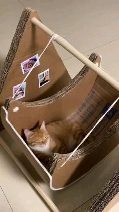 an orange and white cat laying in a cardboard box