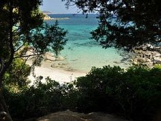 the beach is surrounded by trees and clear blue water, as seen from behind some rocks