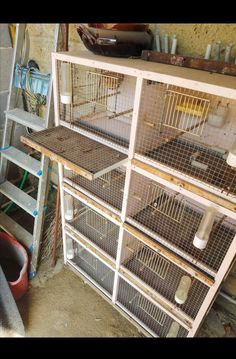 a large bird cage sitting on top of a wooden shelf next to a pile of birds