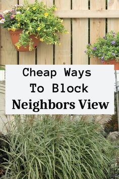 Cheap Ways To Block Neighbors View Lawn Divider Ideas Neighbor, Diy Patio Privacy Ideas Cheap, Blocking Neighbors View Backyard, Private Front Yard Landscaping, How To Block Neighbors View, Side Yard Landscaping Between Neighbors, Pinestraw Landscaping Backyards, Front Yard Dividers From Neighbors, Ways To Block Neighbors View