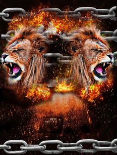 two lions with their mouths open in front of a chain link fence and flames coming out of them