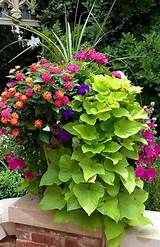 a planter filled with lots of colorful flowers sitting on top of a brick wall