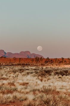 the moon is setting over the desert landscape