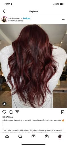 Deep Wine Red Hair Color, Red Tones Hair Color Dark Brown, Red Tint Hair Dark, Red Tint In Brown Hair, Dark Red Mahogany Hair Color, Hair Color Ideas Red And Brown, Balayage Hair Dark Red, Brunette With Red Tint, Brunette With Dark Red Highlights