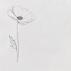 a drawing of a single flower on a white paper with watermarked lines in the middle