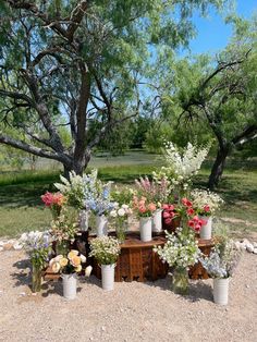 a bunch of flowers that are sitting on a table in the dirt near some trees