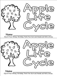 the apple life cycle worksheet is shown in black and white, with two different pictures