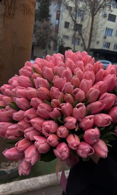 a bouquet of pink tulips in front of a building