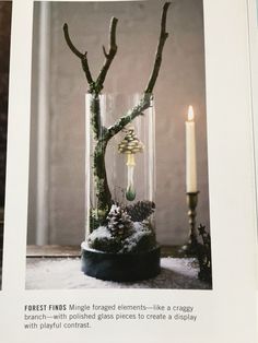 an image of a candle in a glass vase with moss and pine cones on it