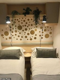 two twin beds in a small room with polka dots on the wall and plants growing above them