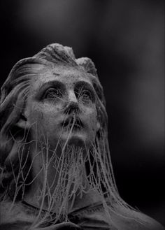 a black and white photo of a woman's face covered in vines