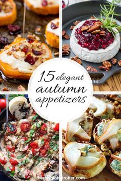 four different pictures with the words 15 elegant appetizers on them, including apples, cheese and cranberry sauce