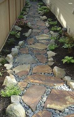 a stone path in the middle of a yard