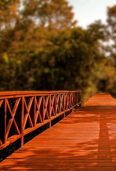 a red wooden bridge with trees in the background