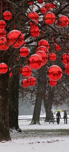 many red lanterns are hanging from trees in the snow, with people walking by them