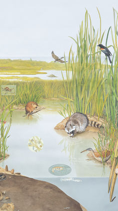 an artist's rendering of a wildlife scene with birds and other animals in the water